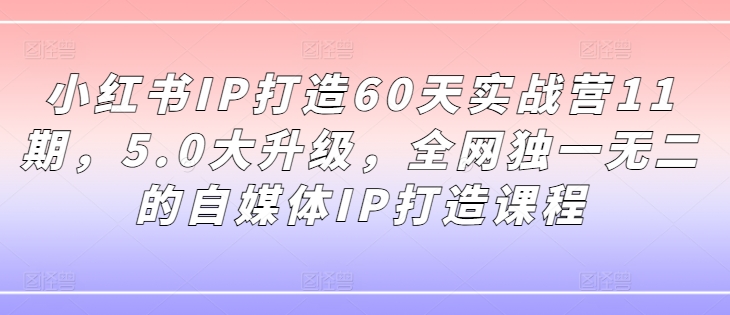 小红书IP打造60天实战营11期，5.0大升级，全网独一无二的自媒体IP打造课程-91创业项目库