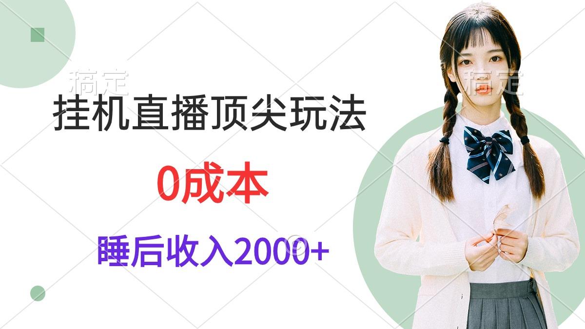 (9715期)挂机直播顶尖玩法，睡后日收入2000+、0成本，视频教学-91创业项目库