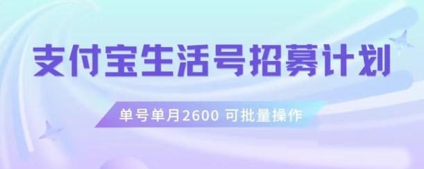 支付宝生活号作者招募计划，单号单月2600，可批量去做，工作室一人一个月轻松1w+【揭秘】-91创业项目库