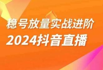 稳号放量实战进阶—2024抖音直播，直播间精细化运营的几大步骤-91创业项目库