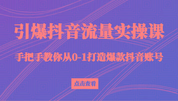 引爆抖音流量实操课，手把手教你从0-1打造爆款抖音账号(27节课)-91创业项目库