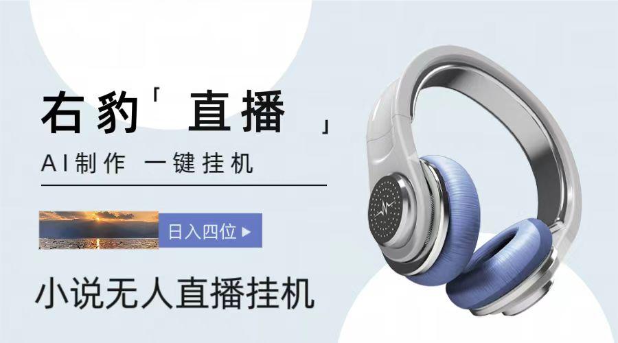 右豹小说无人直播挂机吸金项目，简单易行收益稳定， 月入1000+-91创业项目库