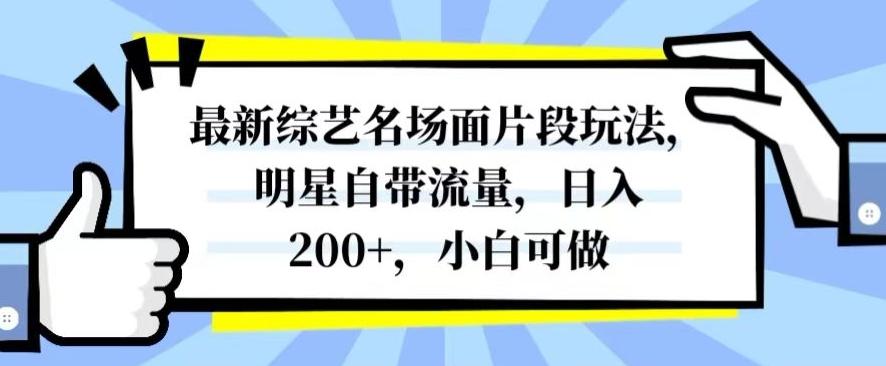 最新综艺名场面片段玩法，明星自带流量，日入200+，小白可做【揭秘】-91创业项目库