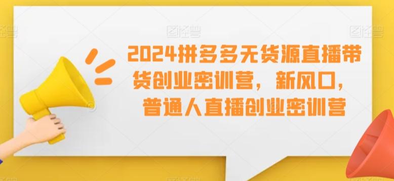 2024拼多多无货源直播带货创业密训营，新风口，普通人直播创业密训营-91创业项目库