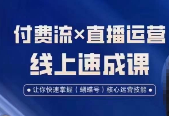 视频号付费流实操课程，付费流✖️直播运营速成课，让你快速掌握视频号核心运营技能-91创业项目库