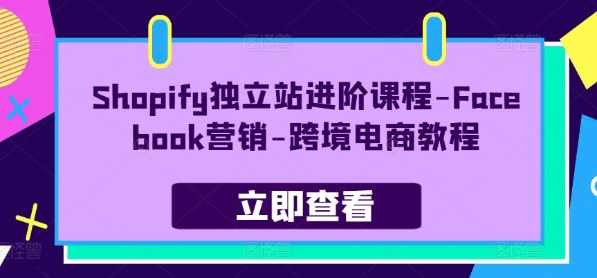 Shopify独立站进阶课程-Facebook营销-跨境电商教程-91创业项目库