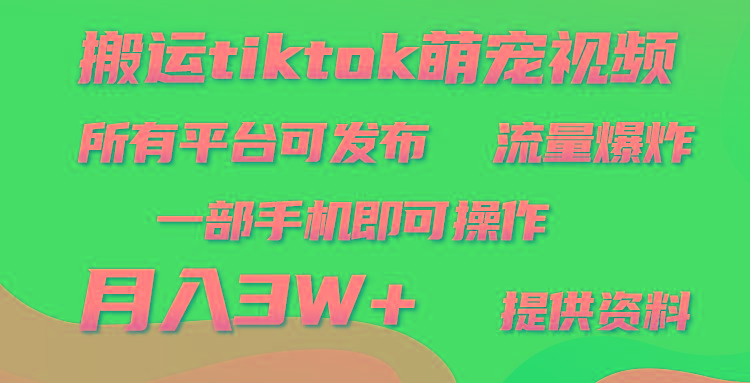 (9618期)搬运Tiktok萌宠类视频，一部手机即可。所有短视频平台均可操作，月入3W+-91创业项目库