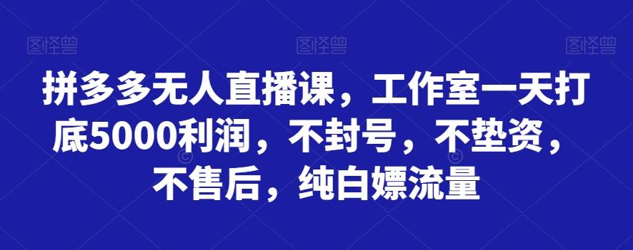 拼多多无人直播课，工作室一天打底5000利润，不封号，不垫资，不售后，纯白嫖流量-91创业项目库
