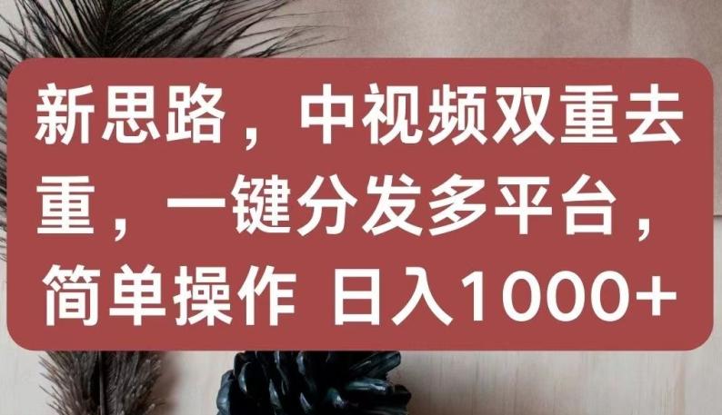 新思路，中视频双重去重，一键分发多平台，简单操作，日入1000+【揭秘】-91创业项目库