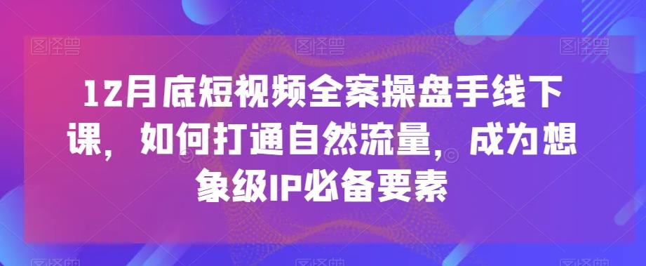 12月底短视频全案操盘手线下课，如何打通自然流量，成为想象级IP必备要素-91创业项目库