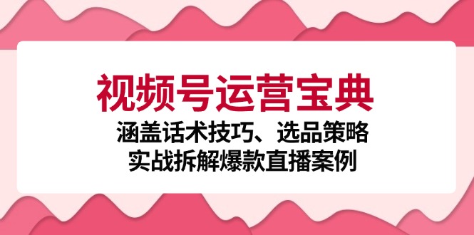 视频号运营宝典：涵盖话术技巧、选品策略、实战拆解爆款直播案例-91创业项目库