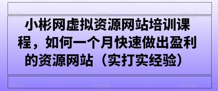 小彬网虚拟资源网站培训课程，如何一个月快速做出盈利的资源网站(实打实经验)-91创业项目库