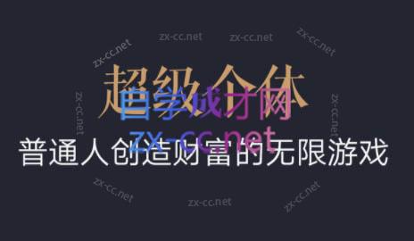 超级个体·普通人创造财富的无限游戏-91创业项目库