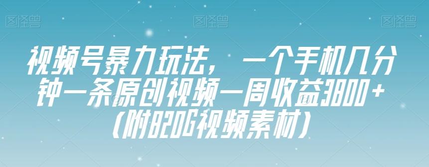 视频号暴力玩法，一个手机几分钟一条原创视频一周收益3800+（附820G视频素材）-91创业项目库