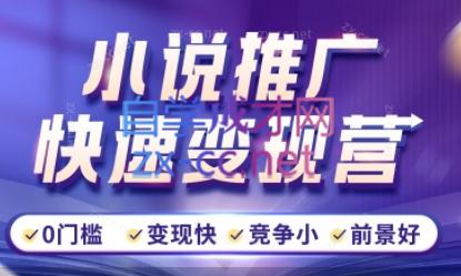 洲洲老师·小说推广快速变现营-91创业项目库