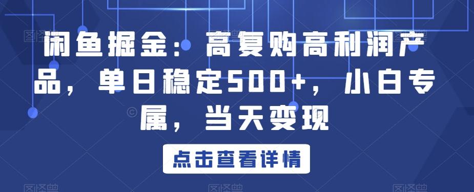 闲鱼掘金：高复购高利润产品，单日稳定500+，小白专属，当天变现-91创业项目库