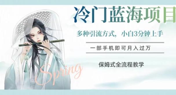 冷门蓝海项目，操作简单，小白3分钟上手，多种引流方式，保姆式全流程教学【揭秘】-91创业项目库