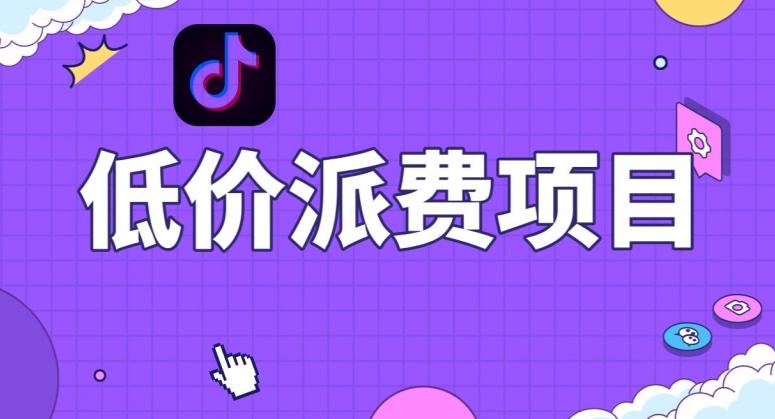 抖音低价派单项目，0门槛，日入1000+很轻松，小白可操作【揭秘】-91创业项目库