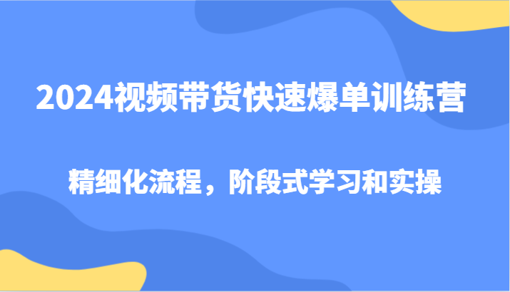2024视频带货快速爆单训练营，精细化流程，阶段式学习和实操-91创业项目库