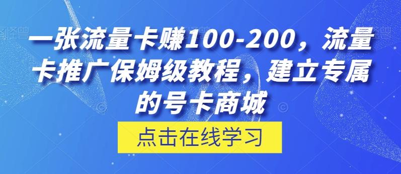 一张流量卡赚100-200，流量卡推广保姆级教程，建立专属的号卡商城-91创业项目库