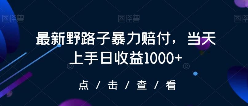 最新野路子暴力赔付，当天上手日收益1000+【仅揭秘】-91创业项目库