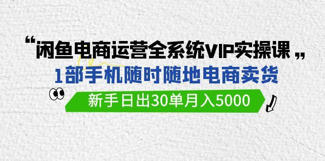 (9547期)闲鱼电商运营全系统VIP实战课，1部手机随时随地卖货，新手日出30单月入5000-91创业项目库