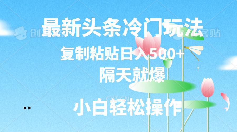 最新头条冷门玩法，隔天就爆，复制粘贴日入500+-91创业项目库