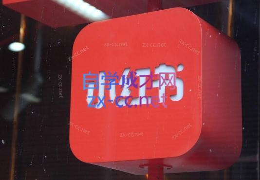 伊伊·红薯【高级班】运营课-91创业项目库