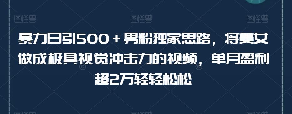 暴力日引500＋男粉独家思路，将美女做成极具视觉冲击力的视频，单月盈利超2万轻轻松松-91创业项目库