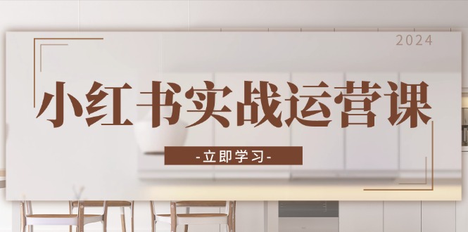 小红书实战运营课：从开通店铺到直播话术，打造爆款笔记与高效直播-91创业项目库