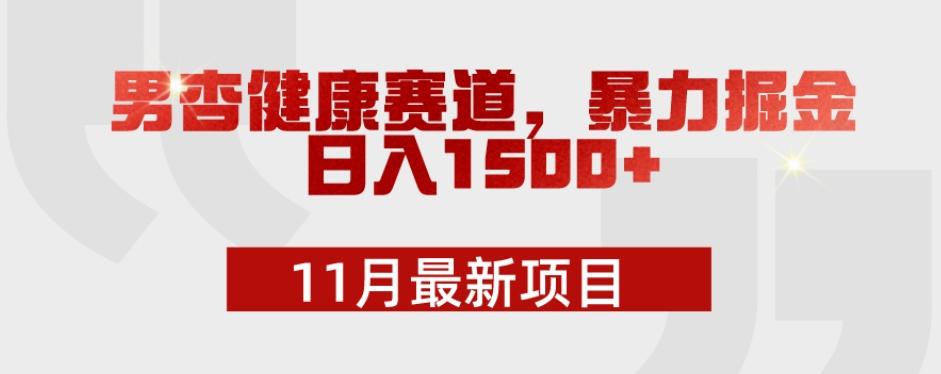 11月最新项目，男杏健康赛道，暴力掘金，日入1500+-91创业项目库