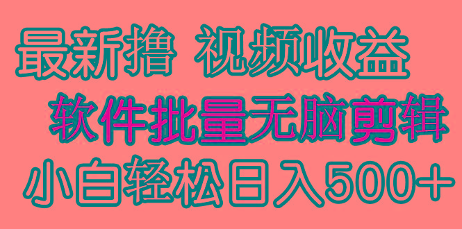 (9569期)发视频撸收益，软件无脑批量剪辑，第一天发第二天就有钱-91创业项目库