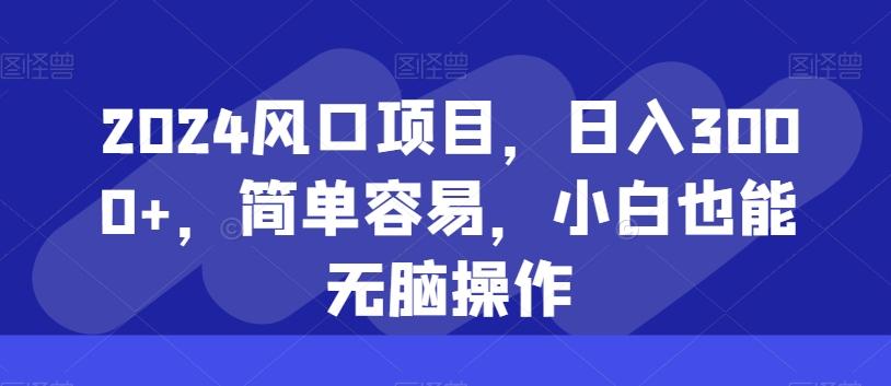 2024风口项目，日入3000+，简单容易，小白也能无脑操作-91创业项目库