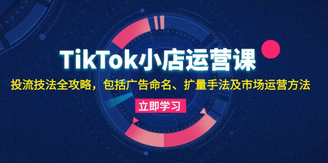 TikTok小店运营课：投流技法全攻略，包括广告命名 扩量手法及市场运营方法-91创业项目库