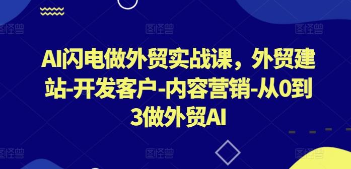 AI闪电做外贸实战课，​外贸建站-开发客户-内容营销-从0到3做外贸AI-91创业项目库