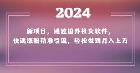 2024新项目，通过国外社交软件，快速涨粉精准引流，轻松做到月入上万【揭秘】-91创业项目库