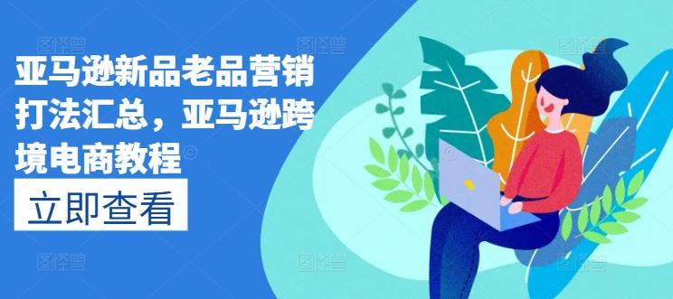 亚马逊新品老品营销打法汇总，亚马逊跨境电商教程-91创业项目库