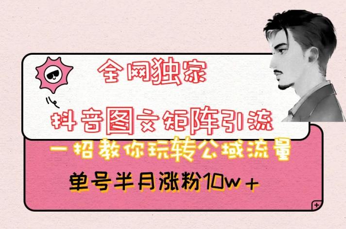 全网独家抖音图文矩阵引流，一招教你玩转公域流量，单号半月涨粉10w+【揭秘】-91创业项目库