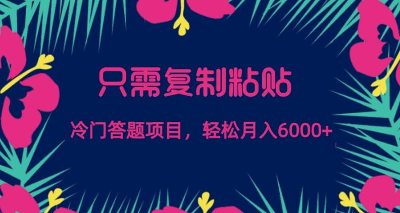 只需复制粘贴，冷门答题项目，轻松月入6000-91创业项目库