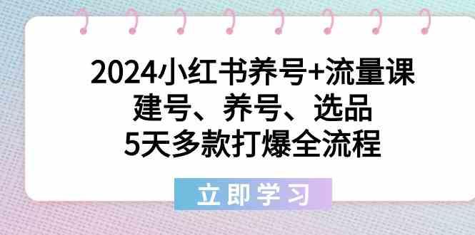 2024小红书养号+流量课：建号、养号、选品，5天多款打爆全流程-91创业项目库
