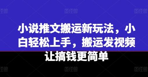 小说推文搬运新玩法，小白轻松上手，搬运发视频让搞钱更简单-91创业项目库