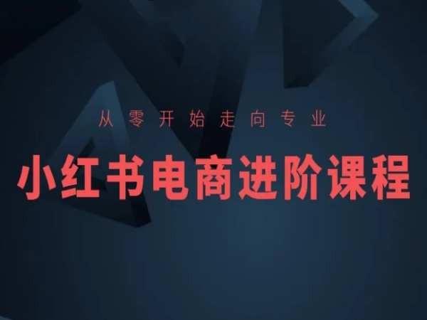 从零开始走向专业，小红书电商进阶课程-91创业项目库