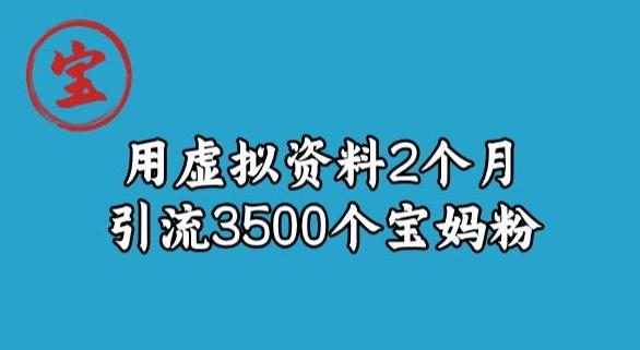 宝哥虚拟资料项目，2个月引流3500个宝妈粉-91创业项目库