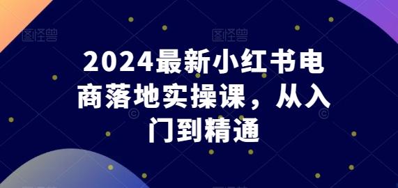 2024最新小红书电商落地实操课，从入门到精通-91创业项目库