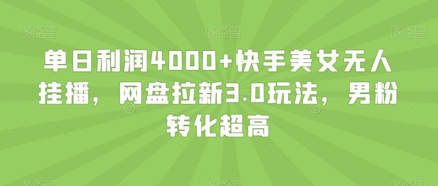 单日利润4000+快手美女无人挂播，网盘拉新3.0玩法，男粉转化超高【揭秘】-91创业项目库