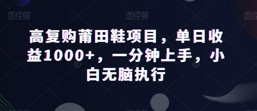 高复购莆田鞋项目，单日收益1000+，一分钟上手，小白无脑执行-91创业项目库