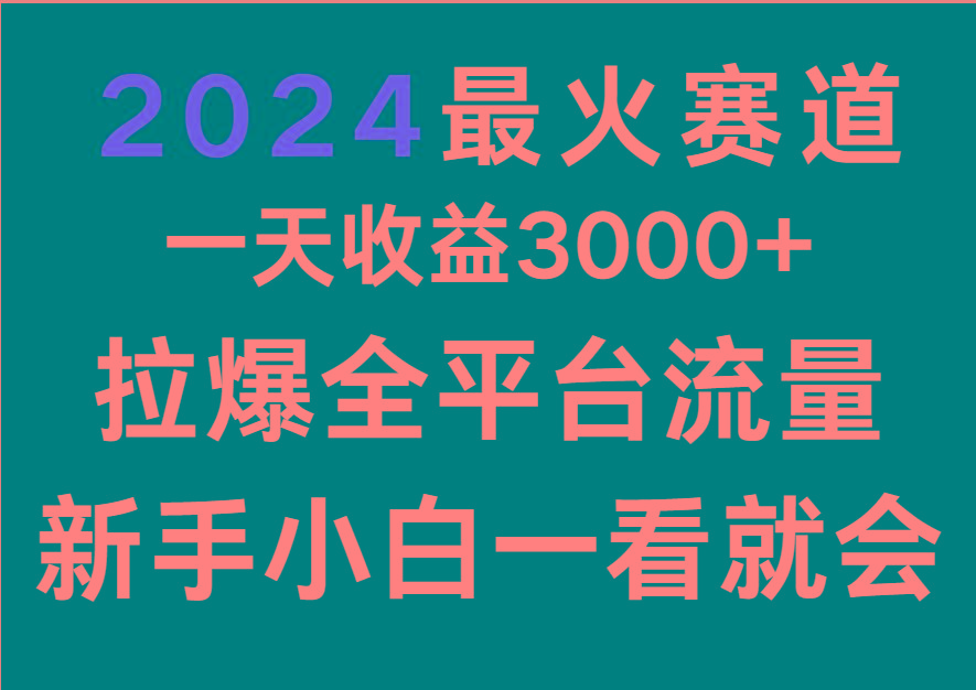 2024最火赛道，一天收一3000+.拉爆全平台流量，新手小白一看就会-91创业项目库