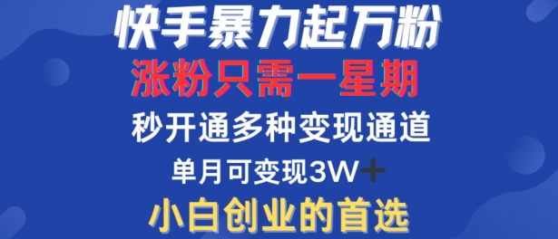 快手暴力起万粉，涨粉只需一星期，多种变现模式，直接秒开万合，单月变现过W【揭秘】-91创业项目库