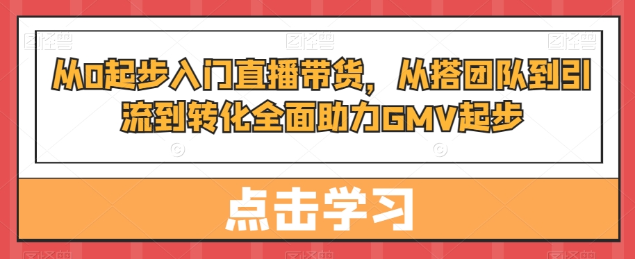 从0起步入门直播带货，​从搭团队到引流到转化全面助力GMV起步-91创业项目库