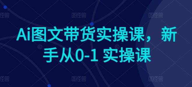 Ai图文带货实操课，新手从0-1 实操课-91创业项目库
